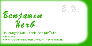 benjamin werb business card